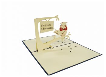 3D Pop-Up-Grußkarte "Uhu"