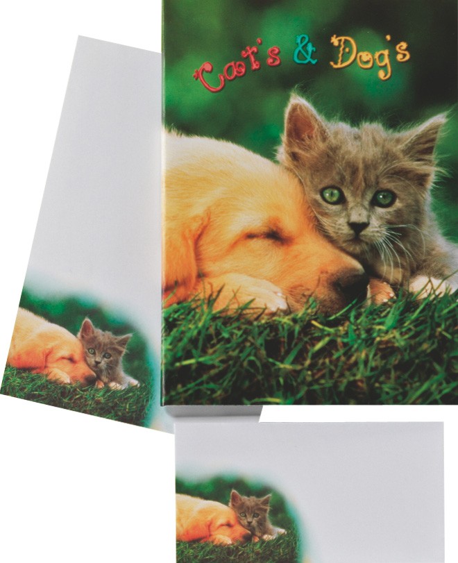 DFW Briefmappe -Cat & Dog-