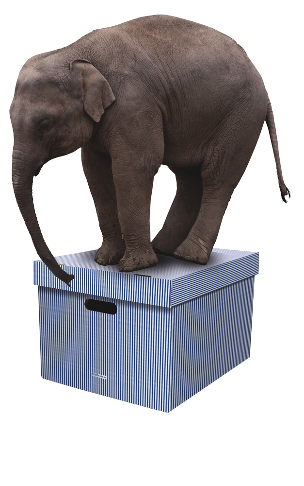 Rappelkiste, blau-weiss